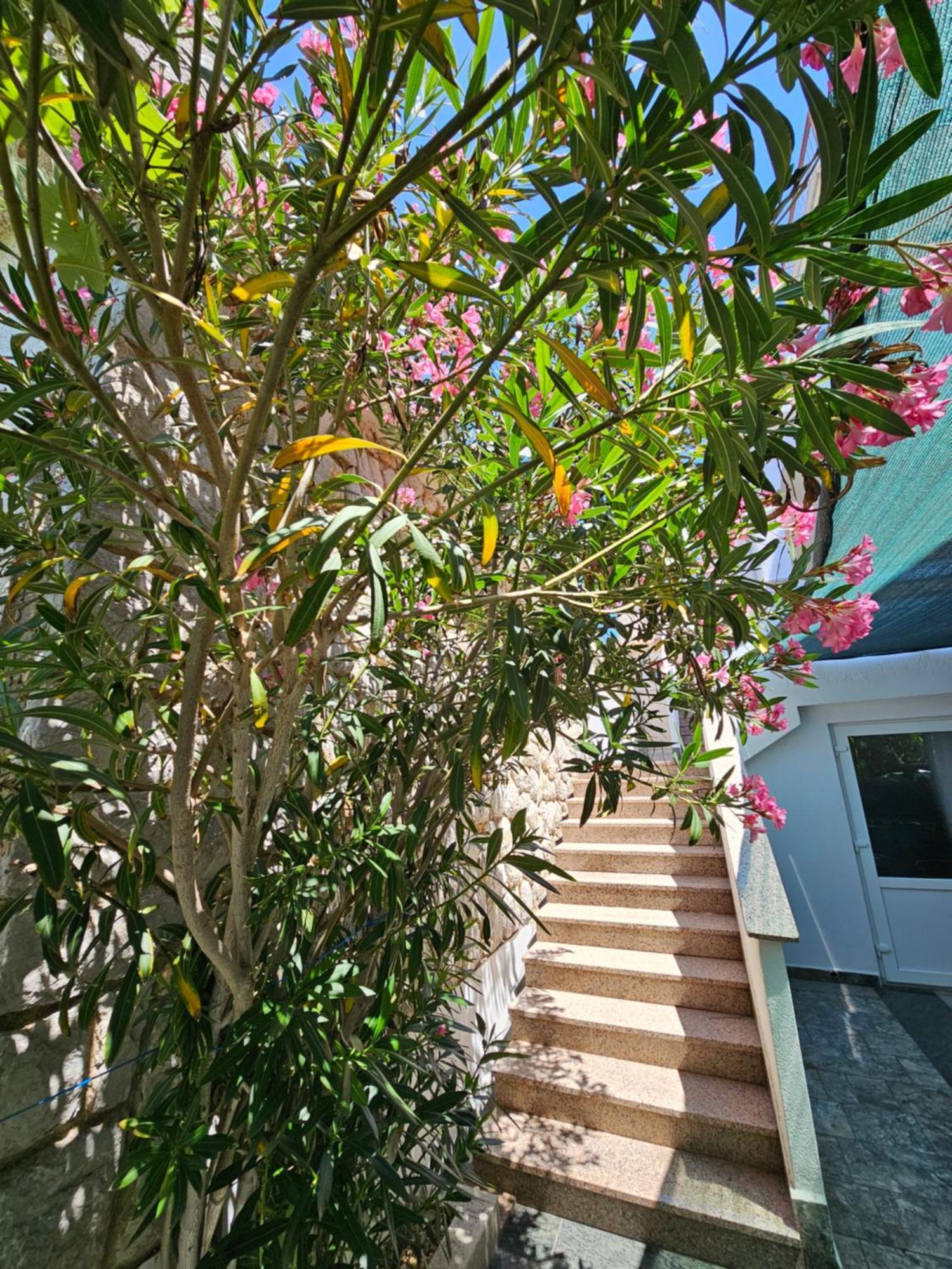 קרק Apartments Bahar Krk מראה חיצוני תמונה